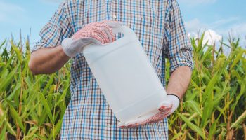 Farmer holding pesticide chemical jug in cornfield. Blank unlabelled bottle as mock up copy space for herbicide, fungicide or insecticide used in corn crop farming.