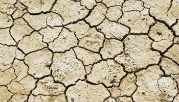 drought-711651_1280
